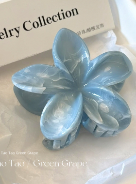 蓝色晕染花朵抓夹女2026新款中号半扎发后脑勺鲨鱼夹鸡蛋花头饰