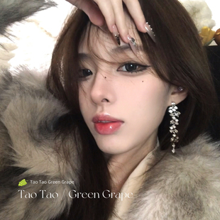 贵气千金高级感精致气质锆石长款流苏耳环女2026新款耳夹轻奢耳饰