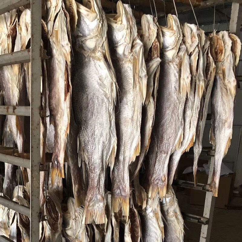 湛江大马友鱼午鱼干 马友鱼海鱼干 咸鱼干海鲜特产干货整条发货