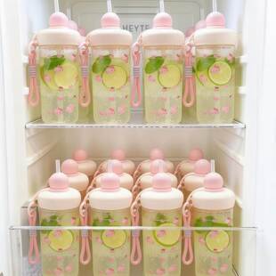 夏日随手杯冷萃冷泡杯便携式咖啡大容量冷水壶泡茶办公室水杯