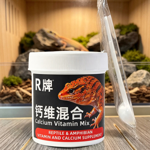R牌豹纹守宫睫角巨人守宫钙粉