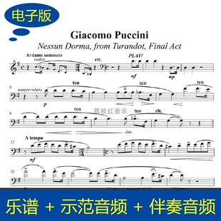 普契尼《今夜无人入眠》大提琴谱 赠送示范音频+伴奏音频 v262