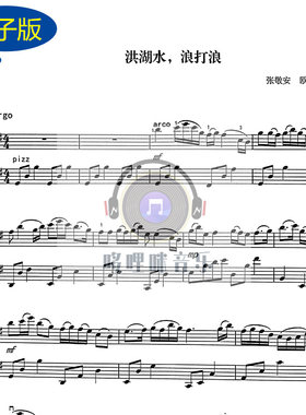 洪湖水浪打浪大提琴二重奏谱