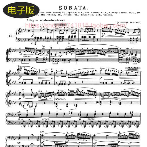 美国希尔默版 海顿钢琴奏鸣曲Hob.XVI46-钢琴谱 古典乐谱