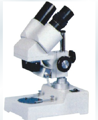 S-20-L双目斜筒40倍、20倍带上光源立体实物显微镜