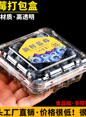 蓝莓包装盒125g克一次性树莓打包盒250克长方形桑葚加厚透明塑料