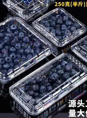 长方形蓝莓打包盒250克透明水果盒125克树莓塑料加厚超市包装盒子