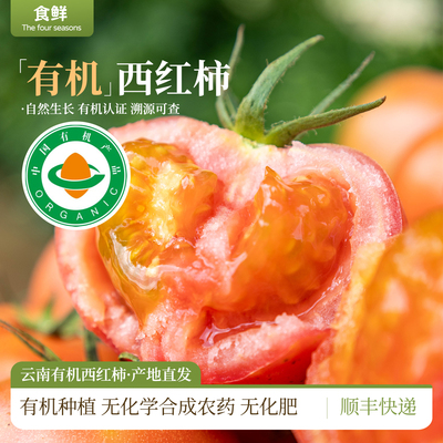 云南有机西红柿自然成熟新鲜采摘多汁有机蔬菜产地直发烹饪凉拌
