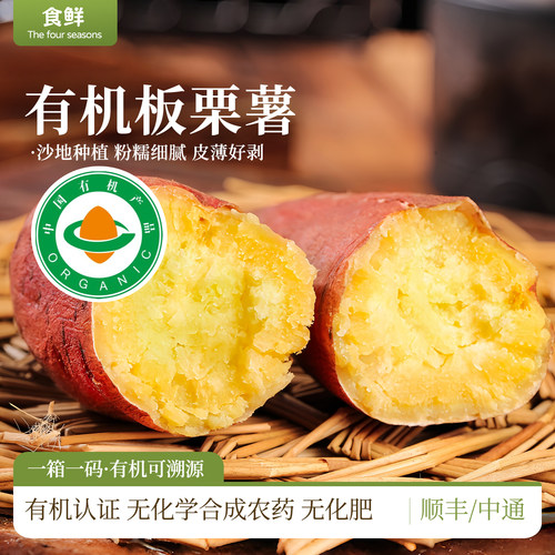 有机板栗薯黄心番薯有机种植自然生长粉糯细腻皮薄肉厚宝宝辅食