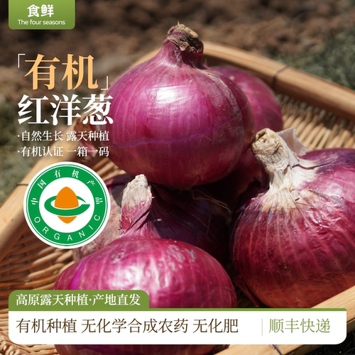 有机洋葱有机认证放心食用