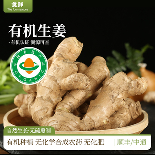 有机生姜山东姜有机标准种植新鲜月子姜鲜姜孕妇食用生姜农产品