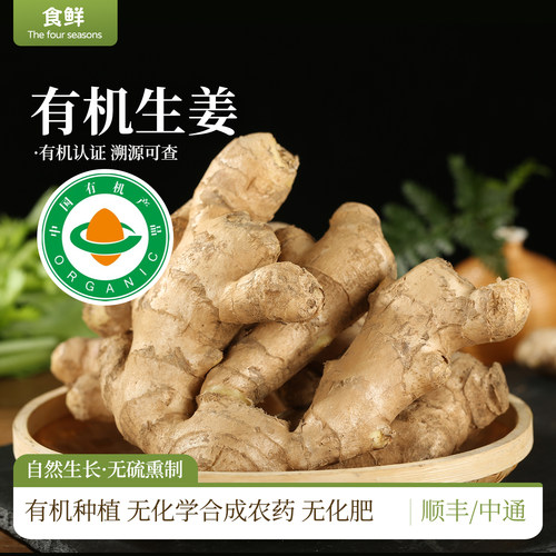 山东有机生姜自然生长新鲜月子姜鲜姜孕妇榨汁调味烹饪食用农产品