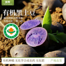 有机土豆黑紫色土豆马铃薯黑金刚有机蔬菜5斤装 蔬菜 新鲜洋芋应季