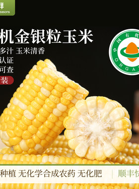 有机玉米水果金银粒生玉米苞米棒子蒸煮自然生长清香多汁时令蔬菜