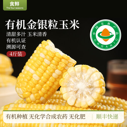 有机玉米水果金银粒生玉米苞米棒子蒸煮自然生长清香多汁时令蔬菜