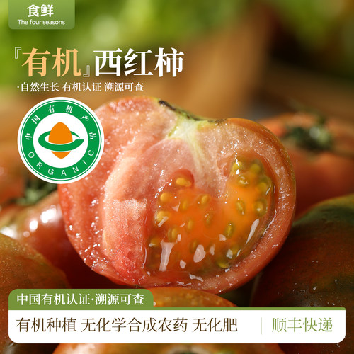 有机西红柿自然成熟高原种植
