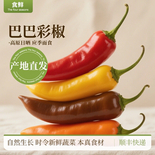 巴巴彩椒云南高原种植自然生长清甜多汁凉拌生吃新鲜时令蔬菜沙拉