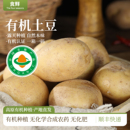 高原种植有机土豆不打抑芽剂黄皮马铃薯顺丰 孕妇宝宝辅食蔬菜 包邮