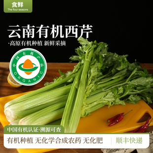 云南高原有机西芹有机蔬菜中国有机认证一件一码 榨汁生食沙拉带叶