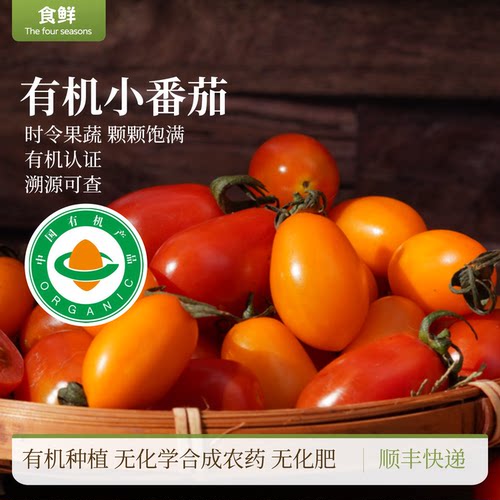 有机小西红柿樱桃番茄有机种植自然生长酸甜可口顺丰包邮生吃水果