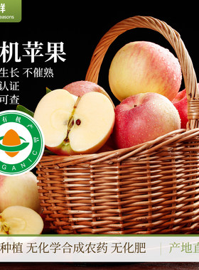 有机苹果山东红富士苹果有机种植不打蜡不催红酸甜爽口新鲜水果