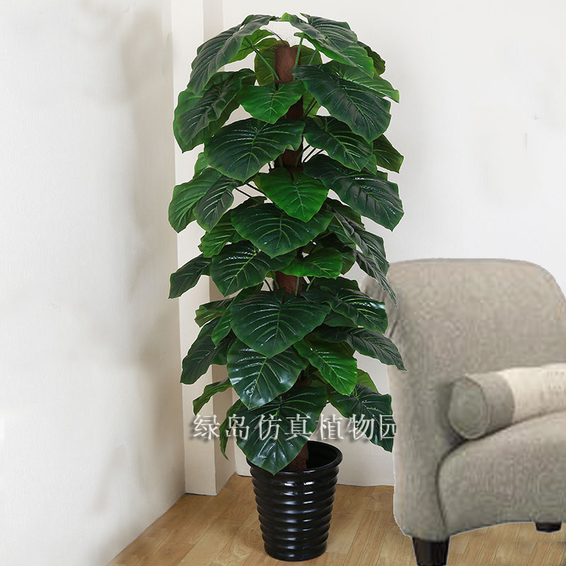 假树滴水观音仿真植物落地盆栽大型客厅盆景假花塑料花艺装饰绿植