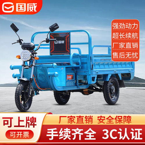国威爬坡农用家用载货电动三轮车