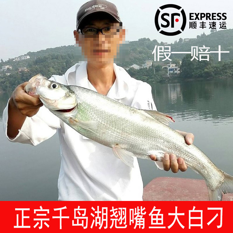 10斤千岛湖翘嘴鱼假一赔十包邮