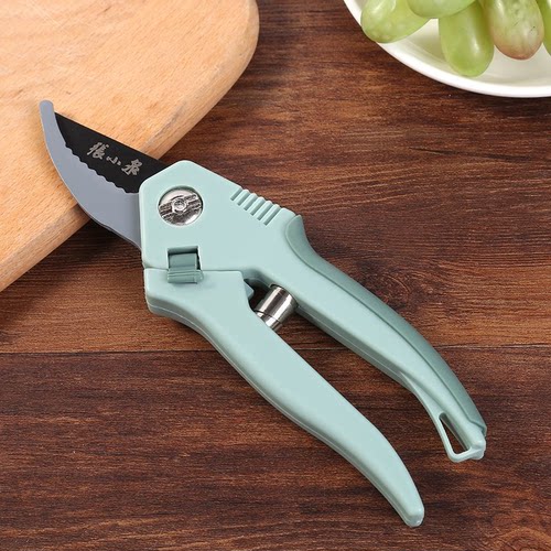 张小泉整枝剪园艺园林花艺花枝剪家用修树枝果树专用剪枝省力剪刀