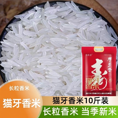猫牙米广西丝苗米长粒香米煲仔饭