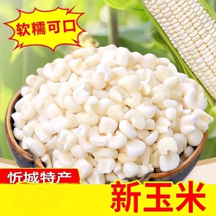 广西忻城玉米珍珠糯玉米头白糯玉米粒煮玉米粥粗粮奶茶店玉米糖水