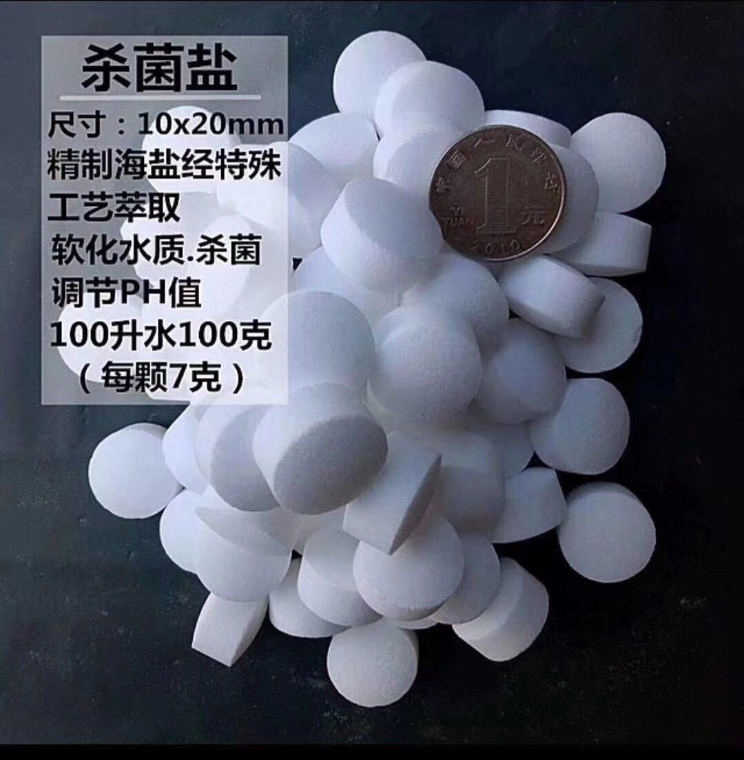 新款水族观赏鱼专用淡海水杀菌盐球盐鱼缸消毒热带鱼锦鲤用盐包邮