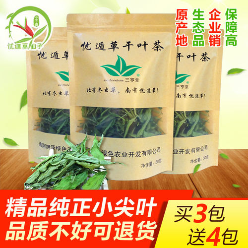 特级精品原产地纯种小尖叶忧遁草