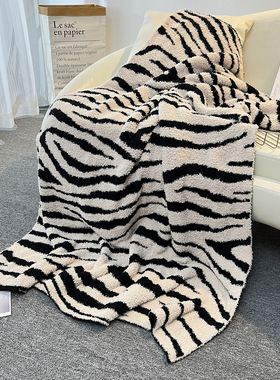 中古轻奢高级感斑马纹沙发盖毯半边绒毯子办公室午睡午休毯装饰毯