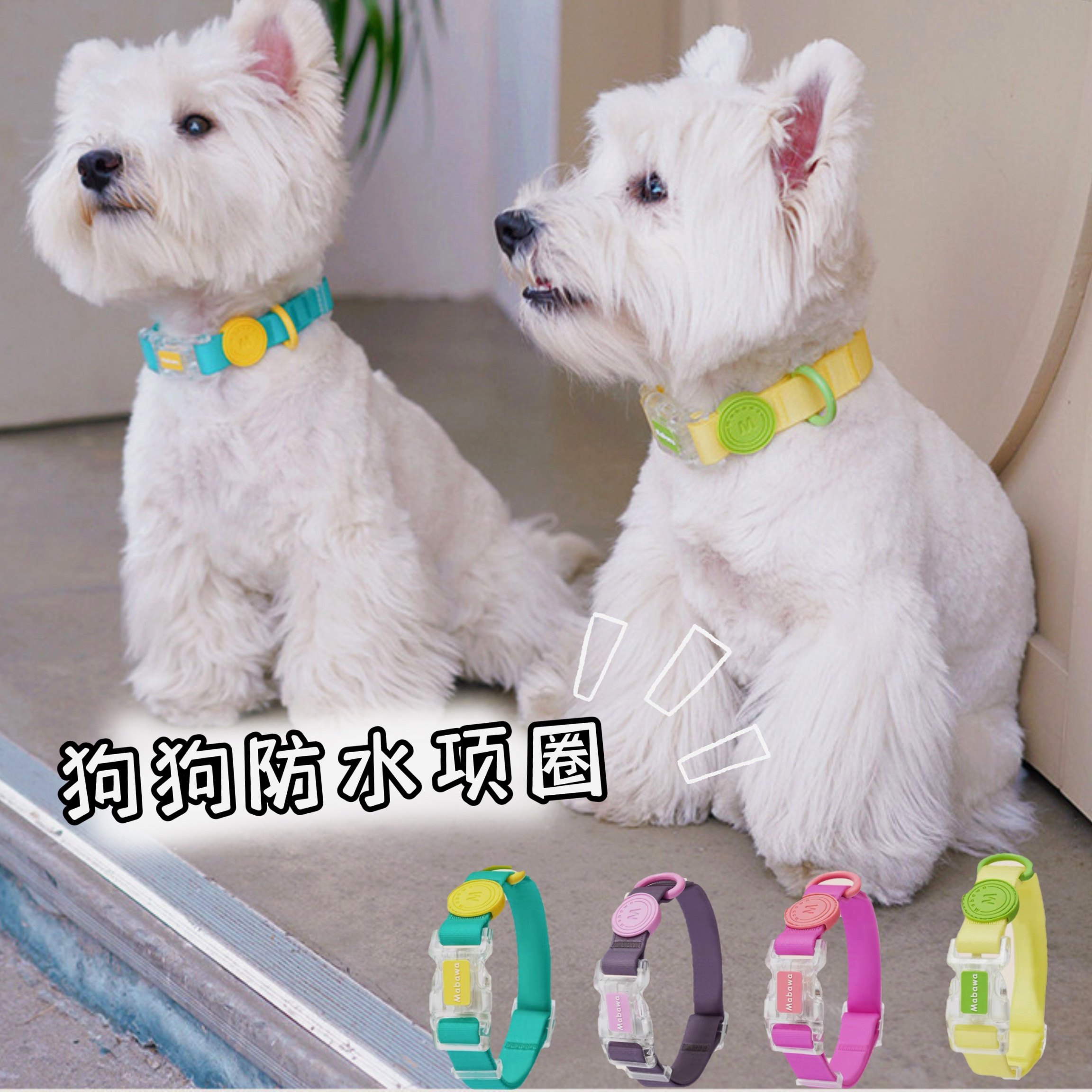 狗狗项圈防水狗圈狗项圈小型犬脖圈大型犬中型法斗泰迪柯基牵绳_虎窝淘