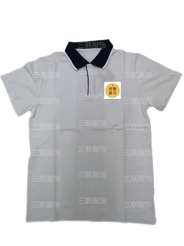 外国语  男生夏季短袖上衣 夏运动服上衣初高中校服   下单备注