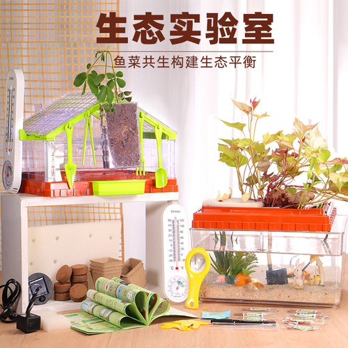 儿童阳光种植房鱼菜共生鱼缸