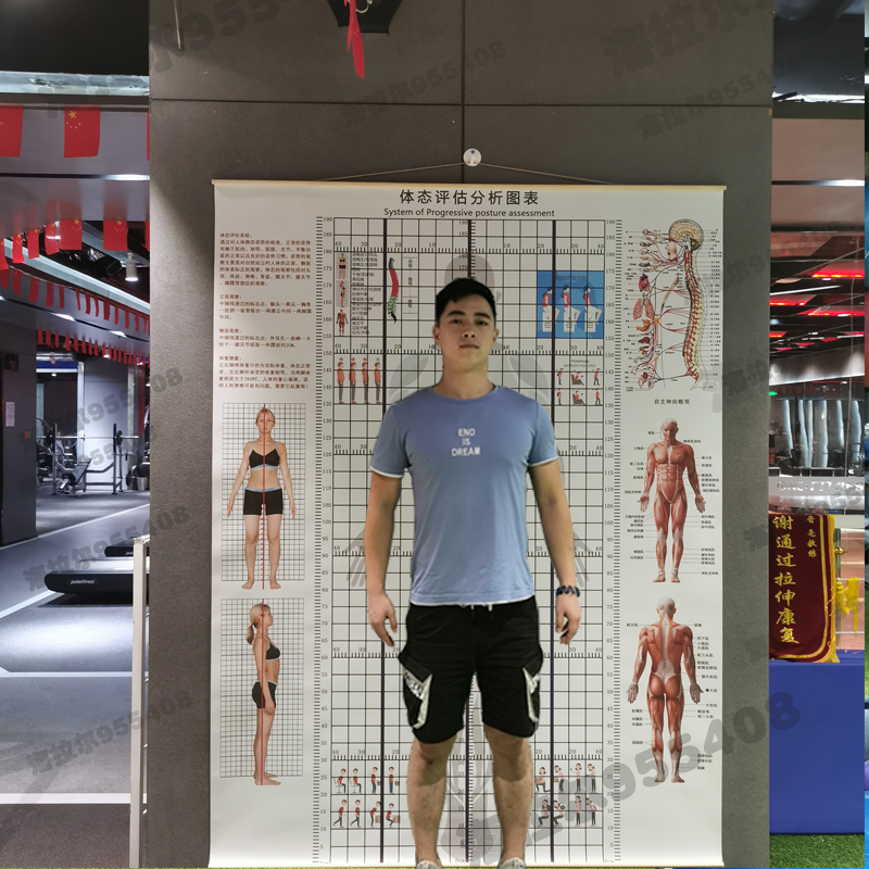 体态评估表挂式贴式表身体