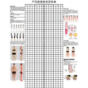 产后体态评估图盆底肌修复图康复形体矫正体态评估表体形测量表格