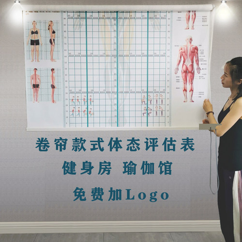 卷帘款体态评估表健身房瑜伽馆健身运动体位体测图私教评估图定制