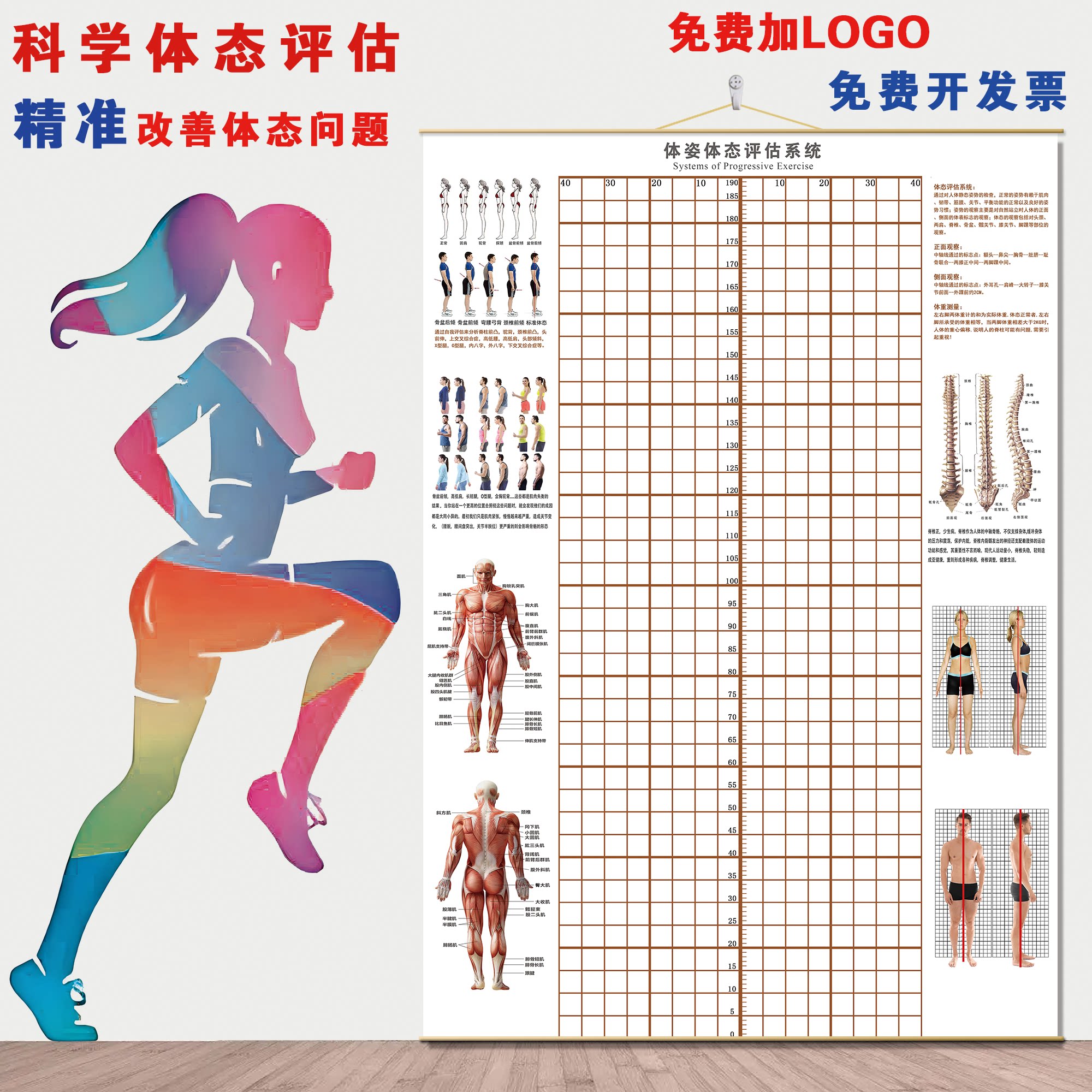 体态评估图站姿矫正网格背景墙贴体测馆私教形体姿势分析对比图