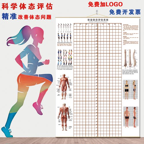 体态评估站姿矫正网格墙贴