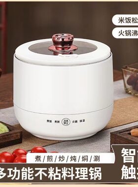 迷你电饭煲小型智能多功能家用宿舍电热不other/其他 其他/other