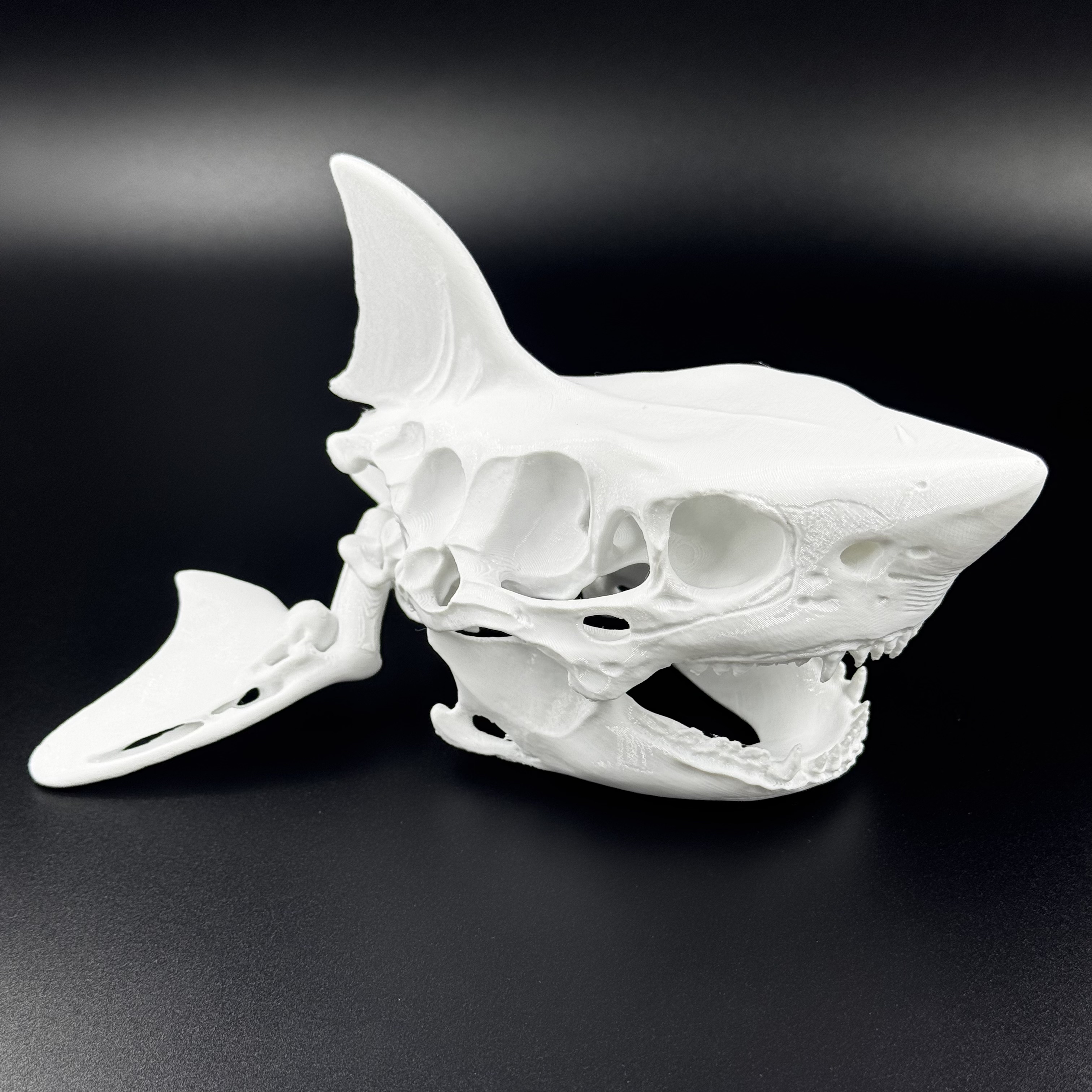 3D打印仿真鲨鱼骨鱼缸摆件