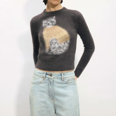 alright “穿毛衣的猫”羊驼毛圆领合身短款套头毛衣