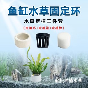 水草定植杯大号生化陶瓷环过滤环沉底环种植新手固定底座快速造景