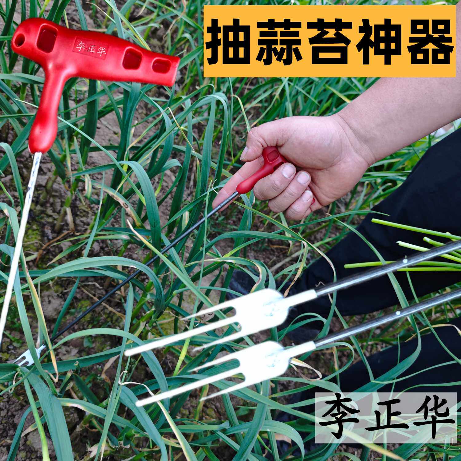 新款T型抽苔神器三叉工具提蒜苔工具锋利耐用锯片钢蒜农高效直销