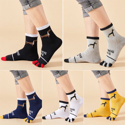 新款五指袜秋冬纯棉运动男士