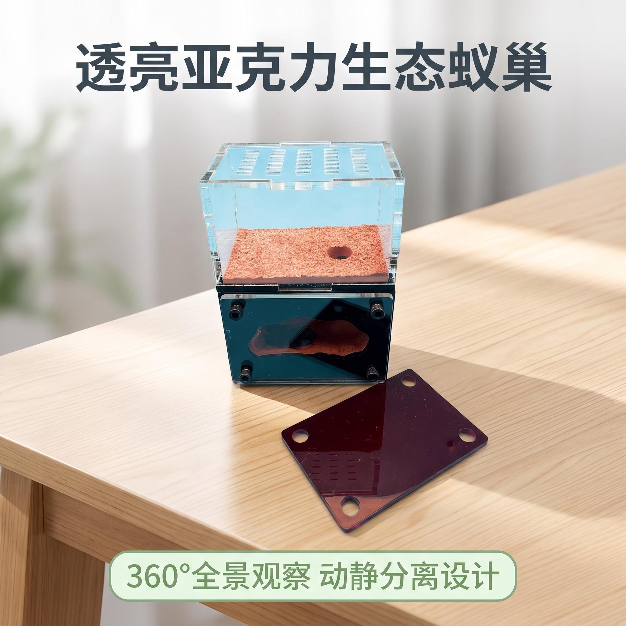 混凝土保湿蚁巢新后蚂蚁饲养窝