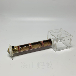 试管巢 单试管双试管